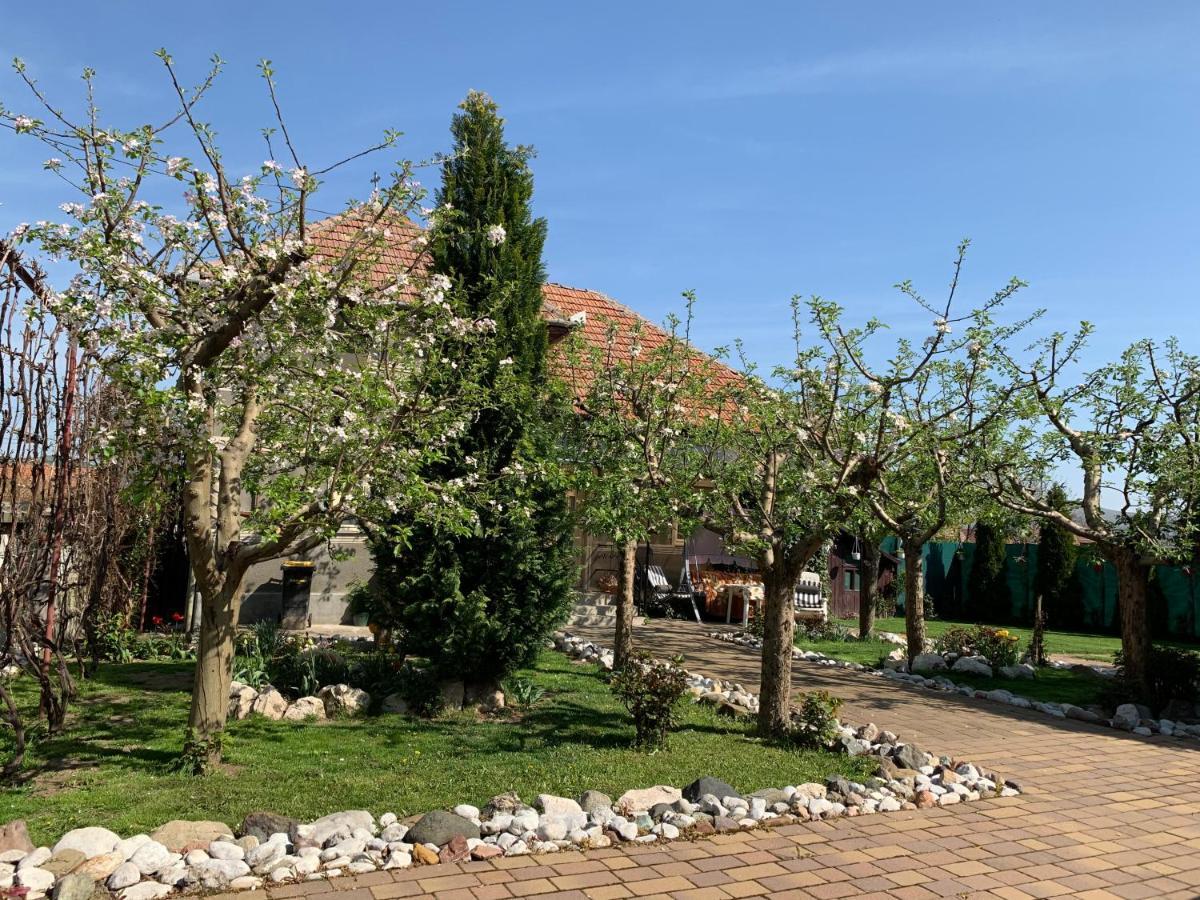 Casa Lui Mosu Villa Alba Iulia Dış mekan fotoğraf